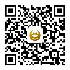 庄闲和游戏人